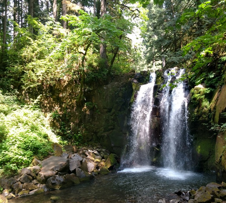 mcdowell-creek-falls-county-park-photo